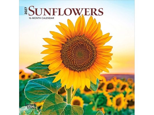 Sunflowers 2027 7 X 14 Inch (Hanging) Monthly Mini Wall Calendar