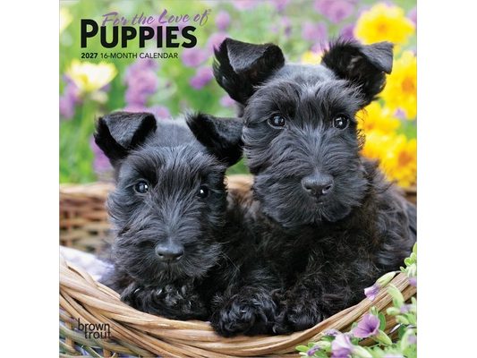 For the Love of Puppies 2027 7 X 14 Inch (Hanging) Monthly Mini Wall Calendar