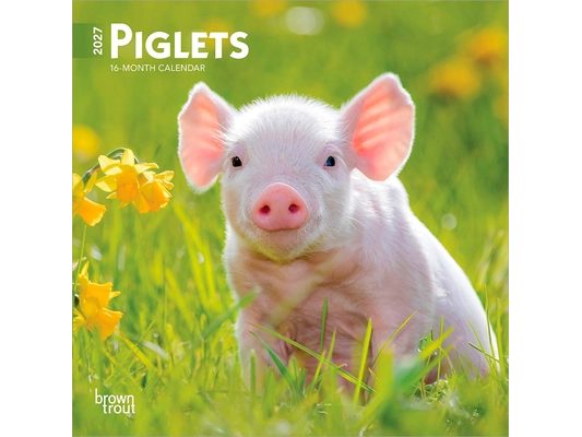 Piglets 2027 7 X 14 Inch (Hanging) Monthly Mini Wall Calendar