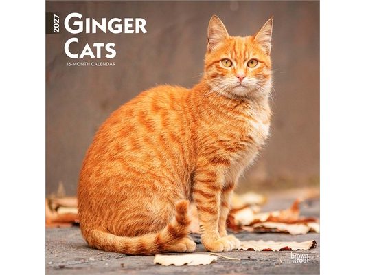 Ginger Cats 2027 12 X 24 Inch (Hanging) Monthly Square Wall Calendar Plastic-Free