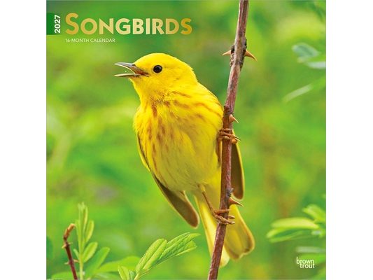 Songbirds 2027 12 X 24 Inch (Hanging) Monthly Square Wall Calendar Foil Stamped Cover Plastic-Free