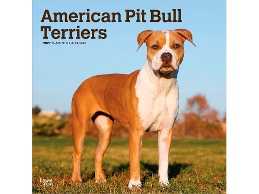 American Pit Bull Terriers 2027 12 X 24 Inch (Hanging) Monthly Square Wall Calendar Plastic-Free