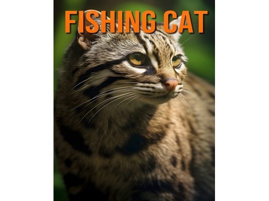 Fishing Cat: Fun and Fascinating Facts and Pictures About Fishing Cat