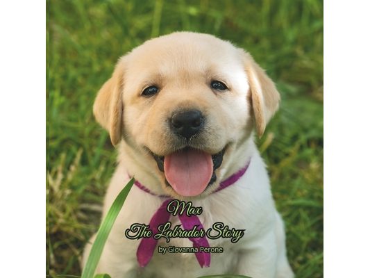 "Max The Labrador Story"