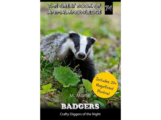 Badgers: Crafty Diggers of the Night