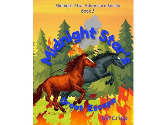 Midnight Star's Great Escape: A Horse Story for Children