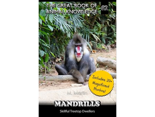 Mandrills: Skillful Treetop Dwellers
