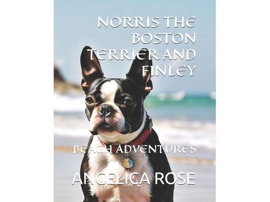 Norris the Boston Terrier and Finley: Beach Adventures