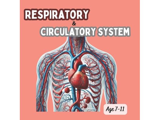 Respiratory and circulatory system: Circulatory System, Parts of the Heart, Parts of the Circulatory System, Respiratory System, What's Inside Blood?,
