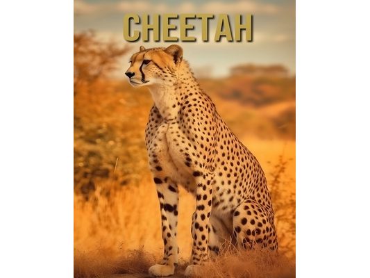 Cheetah: Amazing Picture and Facts About Cheetah for Children's