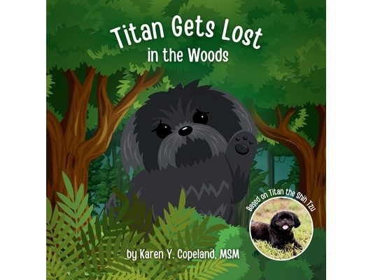 Titan Gets Lost in the Woods
