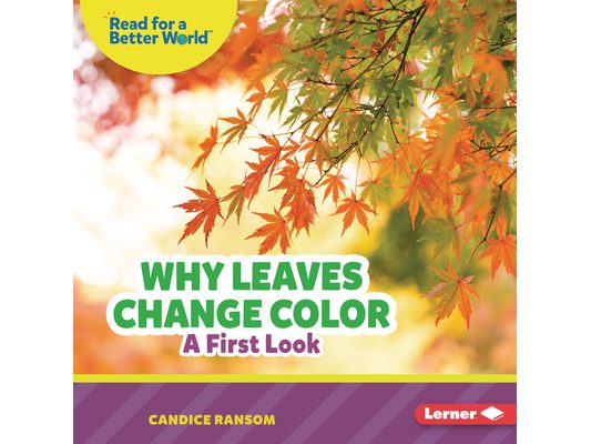 Why Leaves Change Color: A First Look