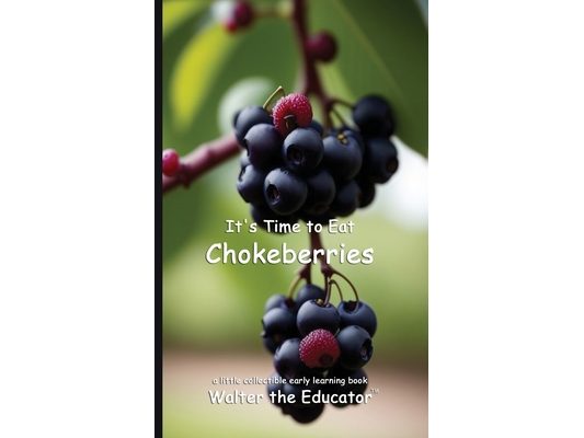 It's Time to Eat Chokeberries