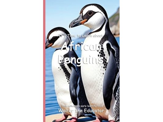 It's Time to Learn about African Penguins
