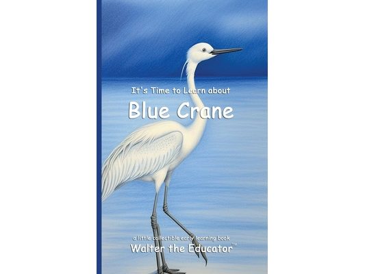 It's Time to Learn about Blue Cranes