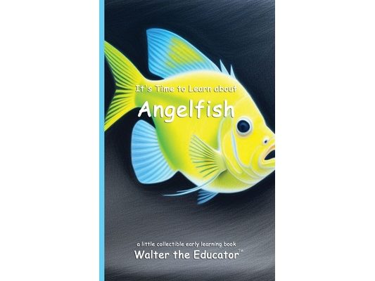 It's Time to Learn about Angelfish
