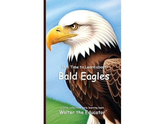 It's Time to Learn about Bald Eagles
