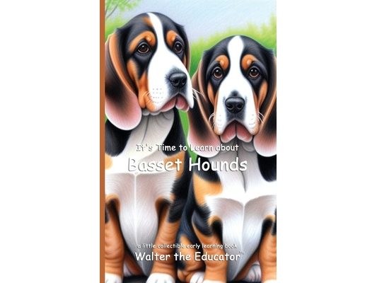 It's Time to Learn about Basset Hounds