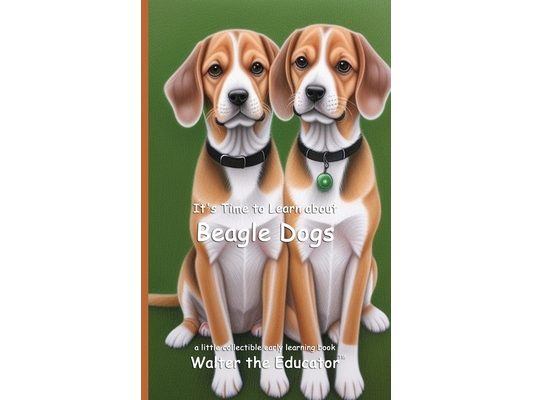 It's Time to Learn about Beagle Dogs