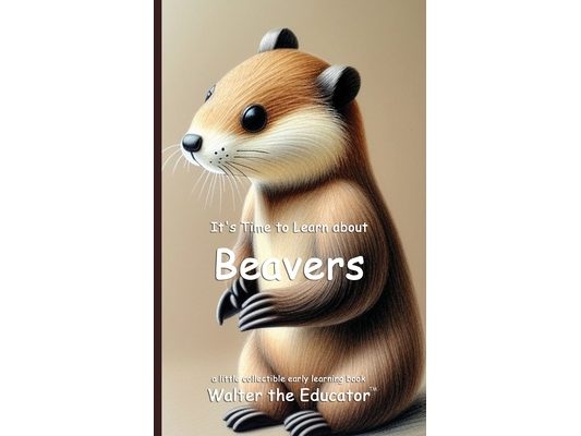It's Time to Learn about Beavers