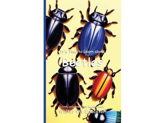 It's Time to Learn about Beetles