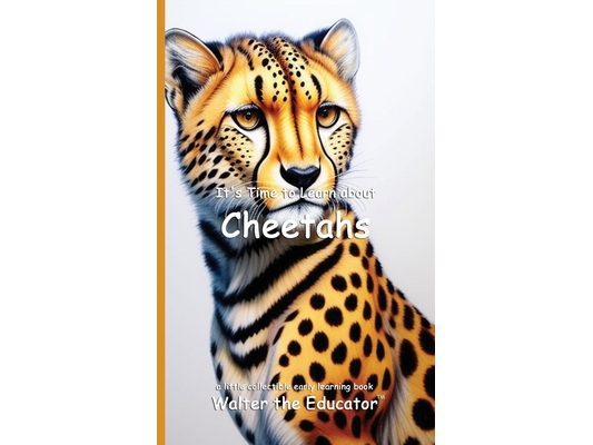It's Time to Learn about Cheetahs