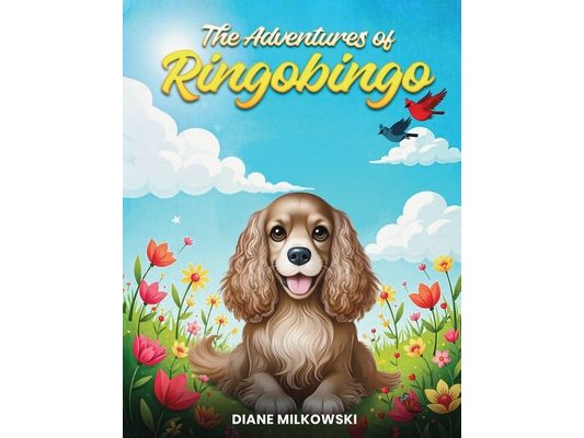 The Adventures of Ringobingo