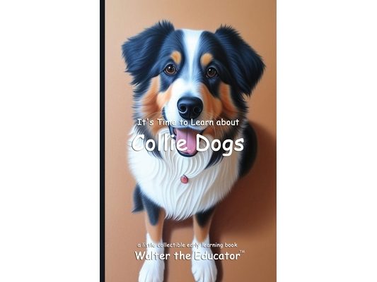 It's Time to Learn about Collie Dogs