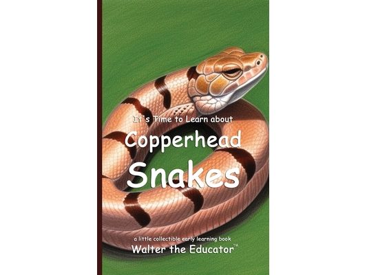It's Time to Learn about Copperhead Snakes