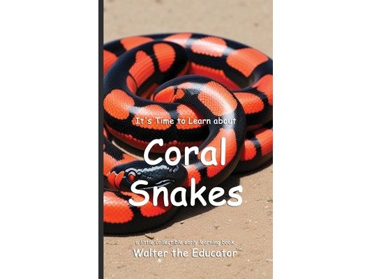 It's Time to Learn about Coral Snakes