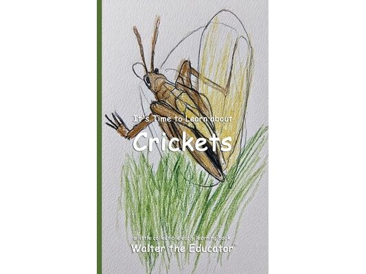 It's Time to Learn about Crickets
