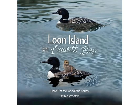 Loon Island on Leavitt Bay: The Woodland Series Book 3