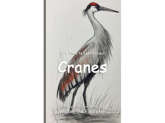 It's Time to Learn about Cranes