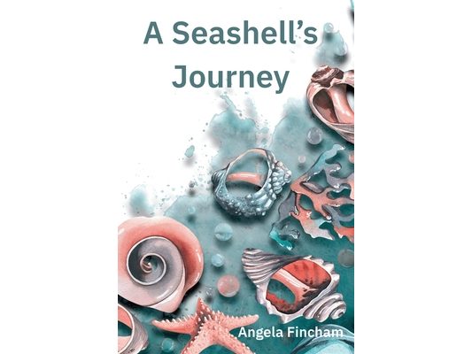 A Seashell's Journey