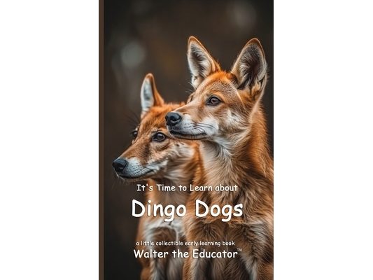 It's Time to Learn about Dingo Dogs