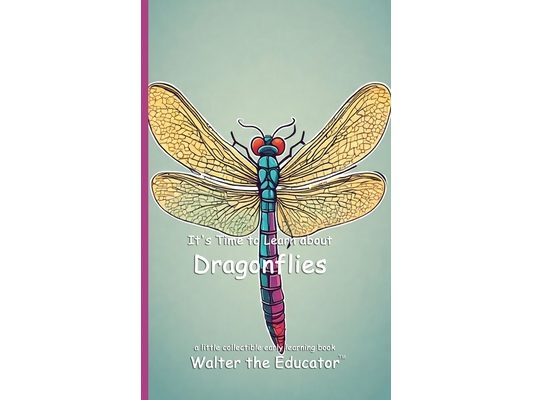 It's Time to Learn about Dragonflies