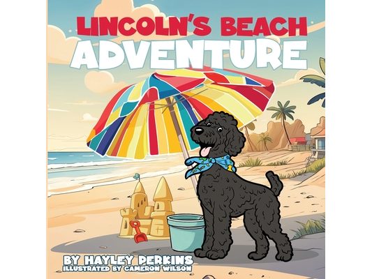 Lincoln's Beach Adventure