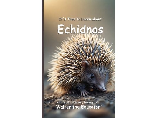 It's Time to Learn about Echidnas