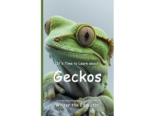 It's Time to Learn about Geckos
