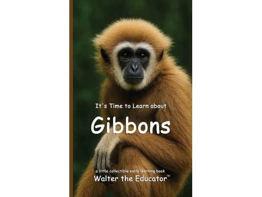 It's Time to Learn about Gibbons