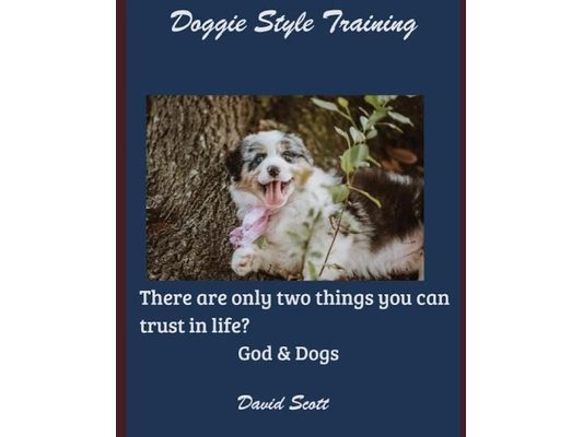 Doggie Style: A Look into a Dog's Eyes