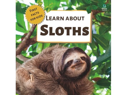 Learn About Sloths: First Facts for Kids