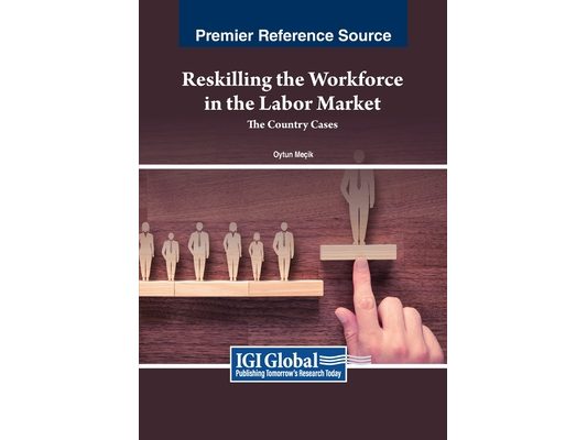 Reskilling the Workforce in the Labor Market: The Country Cases