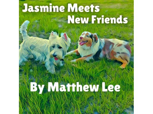 Jasmine Meets New Friends