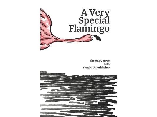 A Very Special Flamingo