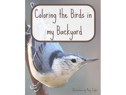 Coloring the Birds in my Backyard