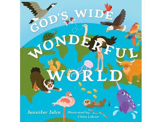 God's Wide, Wonderful World: Exploring His Awesome Animals--And You!