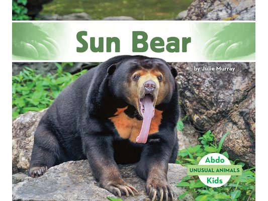 Sun Bear