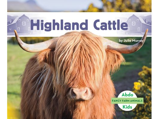 Highland Cattle