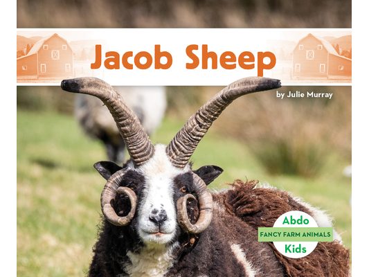 Jacob Sheep